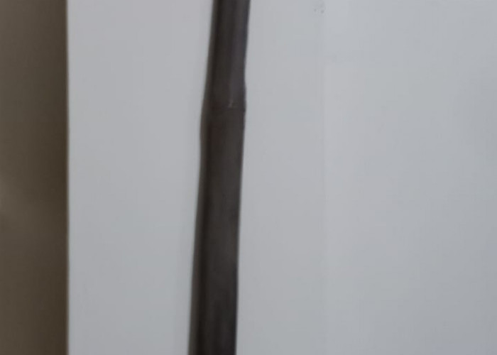 Ironis! Banyak Orang Tidak Tahu ‘Harta Karun’ dari Tasikmalaya Sebilah Pedang Bambu Sakti KH Zaenal Musthofa 