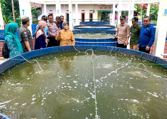 Budidaya Ikan Bioflok di Kota Banjar Melempem, Dinas KP3 Ancang-ancang Ambil Langkah