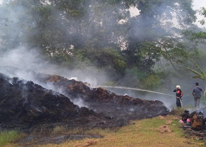 Diduga Akibat dari Puntung Rokok, Pabrik Sabut Kelapa di Pamarican Ciamis Terbakar