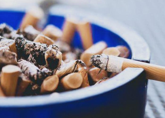 Ini Penjelasan Tentang Kandungan Nikotin pada Rokok yang Ternyata Bermanfaat untuk Tubuh