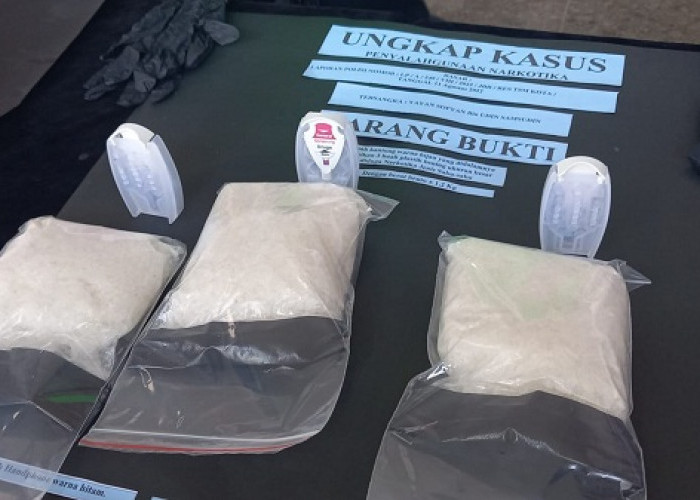 Bawa Sabu-sabu Seberat 2 Kilogram, Kurir Narkoba Ditangkap BNN saat Dalam Bus Jurusan Palembang Bandung