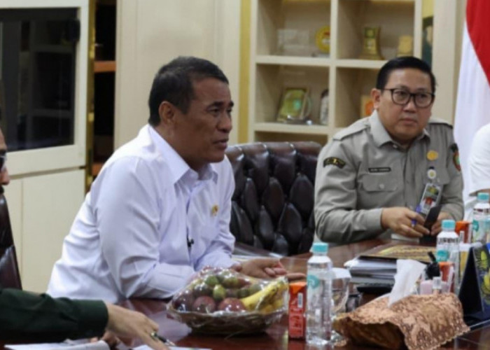 Harga Ayam dan Telur di Tingkat Peternak Mulai Membaik, Kementan Terus Perkuat Stabilisasi