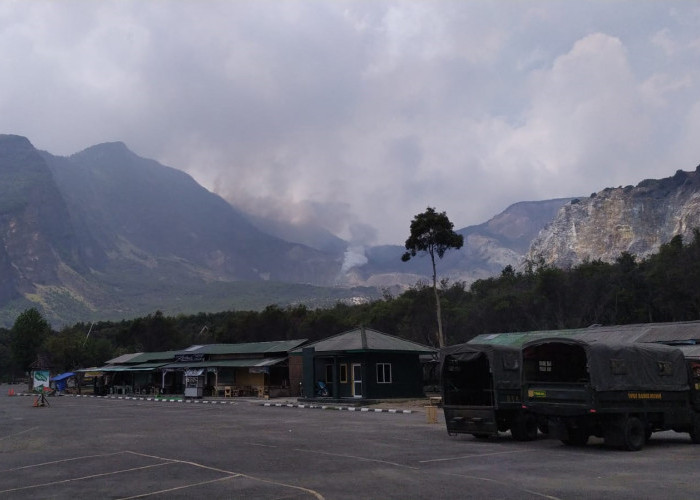 Aktivitas Pendakian Gunung Papandayan Ditutup, Hutan Perbatasan Garut-Bandung Kebakaran