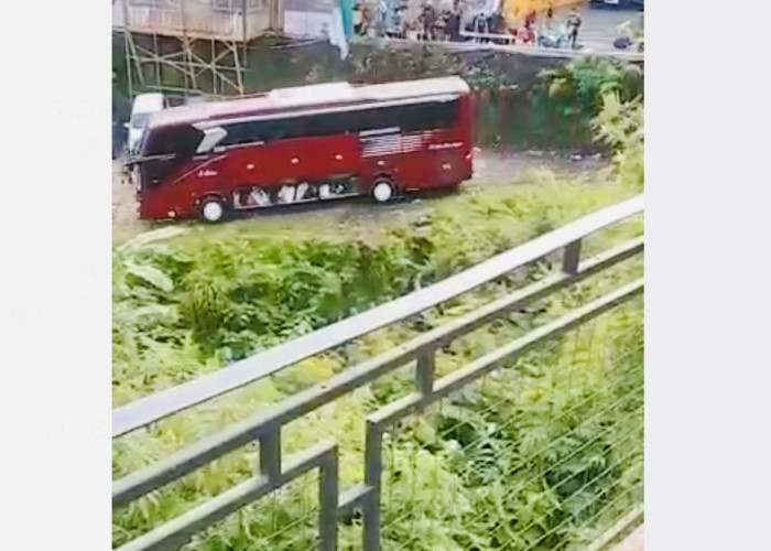 Detik-Detik Bus Warna Merah Tak Terkendali Terjun ke Jurang, Orang-Orang Histeris