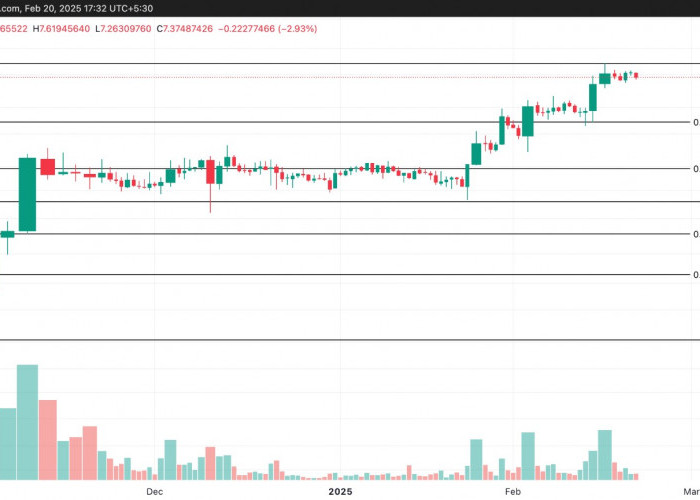 Altcoin Potensial! MANTRA (OM), PAIN (PAIN), dan SHADOW (SHADOW) Siap Meledak?