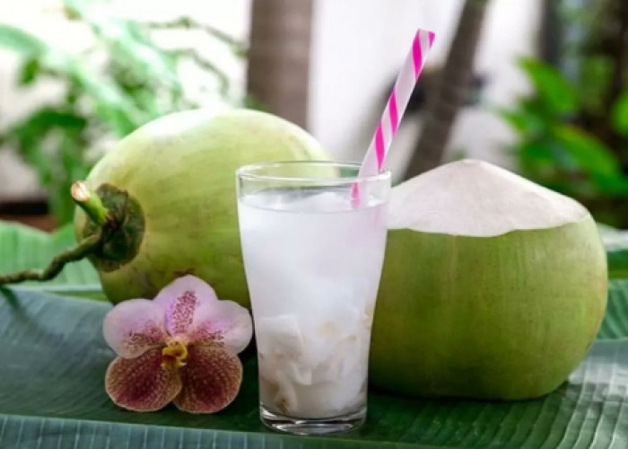 Air kelapa Bisa Menjaga Dehidrasi Tubuh Usai Olahraga dan Memperlancar Pencernaan