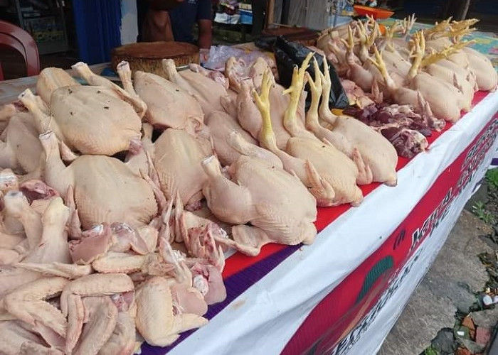 Respons Penjual Daging Ayam Potong terhadap Rencana Sertifikasi Halal Daging Ayam Potong