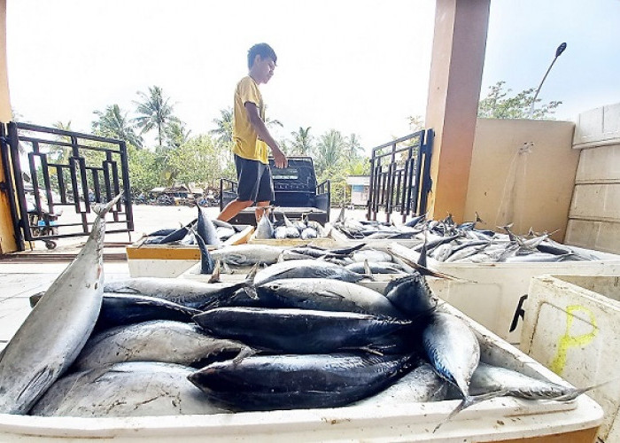 Nelayan Lebih Untung Kalau Jual Ikan di Tempat Pelelangan