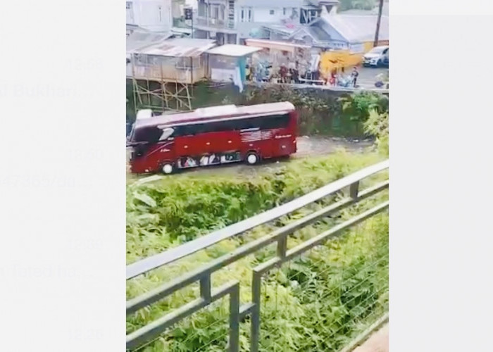 Detik-Detik Bus Warna Merah Terjun ke Jurang Tanpa Sopir, Teriakan Histeris Diduga dari Suara Penumpang