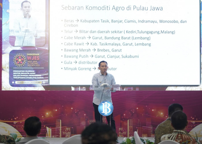 Penjelasan Cheka Soal Proyek Investasi Potensial Kota Tasikmalaya dalam Sarasehan West Java Economic Society