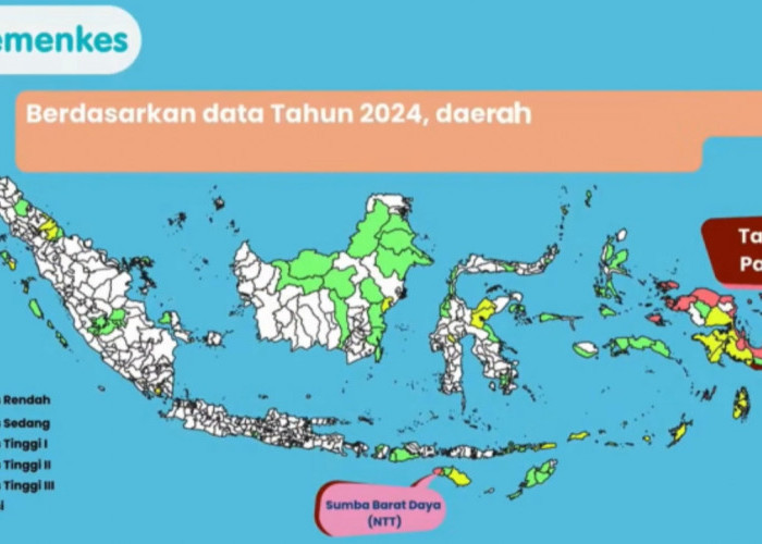 Indonesia Kejar Target Bebas Malaria 2030, Papua Masih Jadi Wilayah dengan Kasus Tertinggi