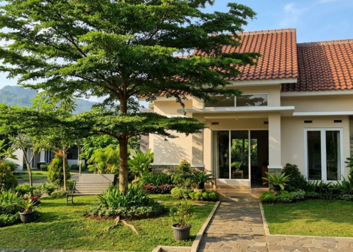 Rumah Lebih Adem Tanpa AC, Ini Cara Memilih Pohon Peneduh yang Tepat dan Aman