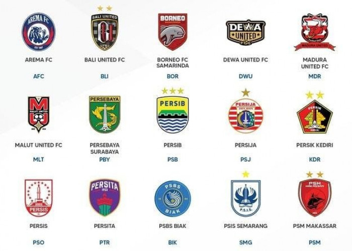 Jadwal Liga 1 2024-2025 Hari Ini, Arema FC vs Dewa United dan Semen Padang vs Borneo FC, Ini Link Streamingnya