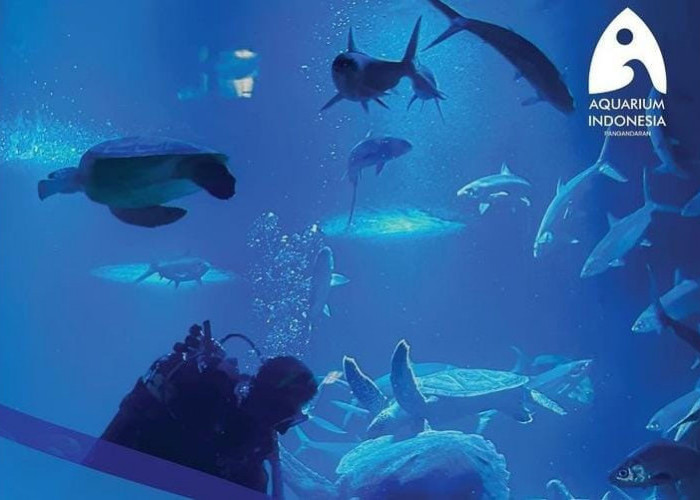Destinasi Wisata Baru di Pangandaran, Begini Cara Pesan Tiket Aquarium Indonesia Pangandaran