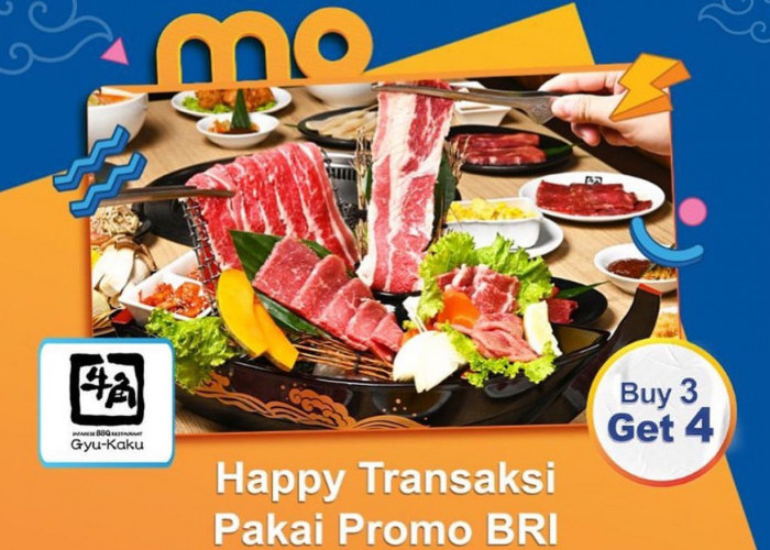 Happy Transaksi Pakai Promo BRI