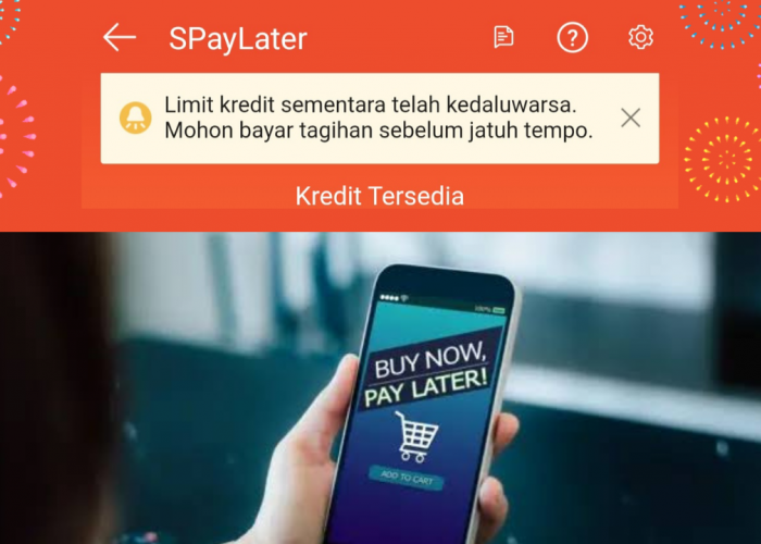 OJK Siapkan Aturan Paylater 2025, Dari Syarat Usia Minimum hingga Pendapatan