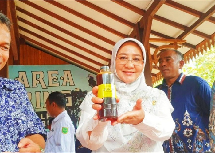 Kabar Baik Buat Madu Kelulut Kampung Dumaring, Dr Wida: Sebanding dengan Madu dari Luar Negeri