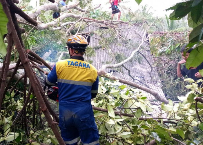 Belasan Rumah di Tasikmalaya Rusak Tertimpa Pohon Tumbang, Waspadai Cuaca Ekstrem dan Angin Kencang
