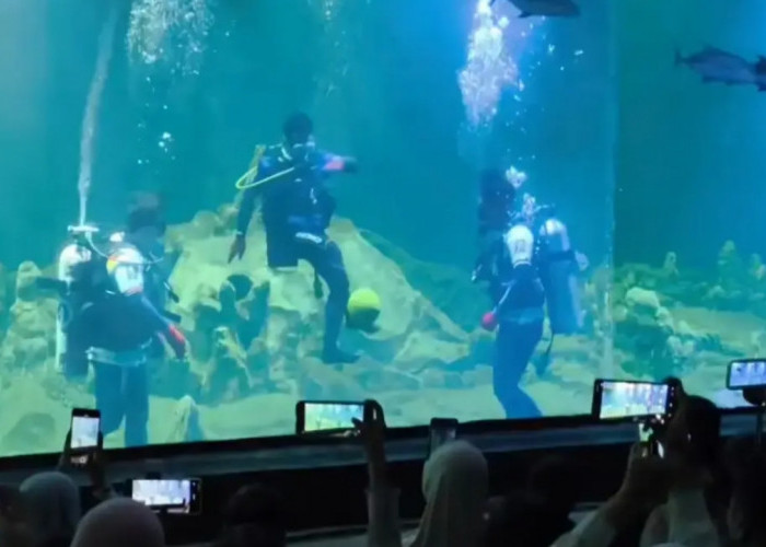 Aquarium Indonesia Pangandaran Hadirkan Atraksi Bertema Piala Dunia 2026 untuk Tarik Wisatawan