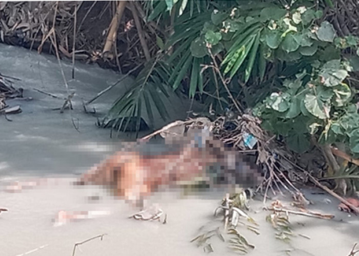 Detik-Detik Bocah 9 Tahun Temukan Mayat Tak Pakai Celana di Sungai, Ini Kata Kapolresta