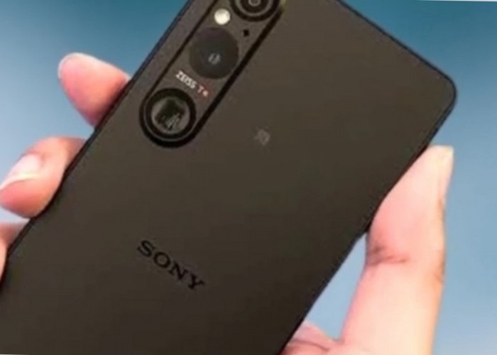 Mewah! Sony Xperia 15 2025 Memiliki Spek Kelas Atas, Layar Beresolusi 4K AED Dengan Dukungan HDR10 Plus