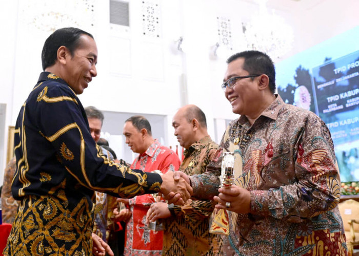 Mantap, Bupati Tasikmalaya Ade Sugianto Terima Penghargaan TPID Berprestasi dari Presiden Joko Widodo