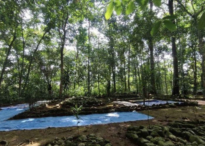 Mitos Mistis Gunung Jaha, 'Maung Hideung' Menjaga Hutan dan Sungai