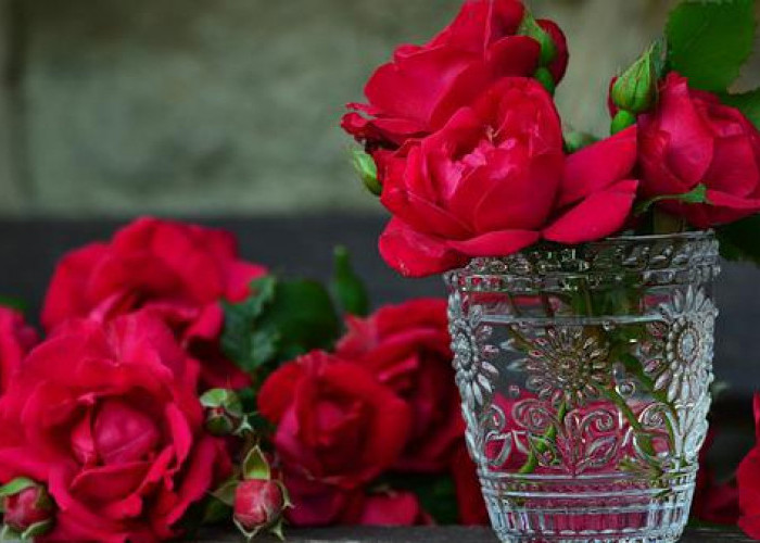 Gampang Banget, Ini Cara Mengolah Bunga Mawar untuk Dijadikan Kosmetik Alami, Ketahui Juga Manfaatnya