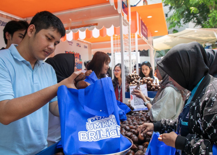 Diberdayakan BRI, Bisnis Klaster Petani Salak Ini Melejit!