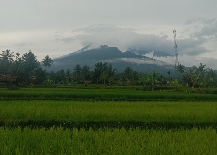 INIH Rekomendasi Destinasi Wisata di Jawa Barat yang Bernuansa Alam, Cocok Buat Tahun Baruan