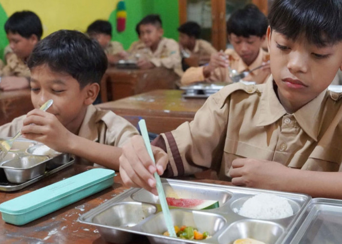 Dapur MBG Penyebab Keracunan Massal Dibekukan Sementara, Pastikan Dua Hal Pokok Terpenuhi