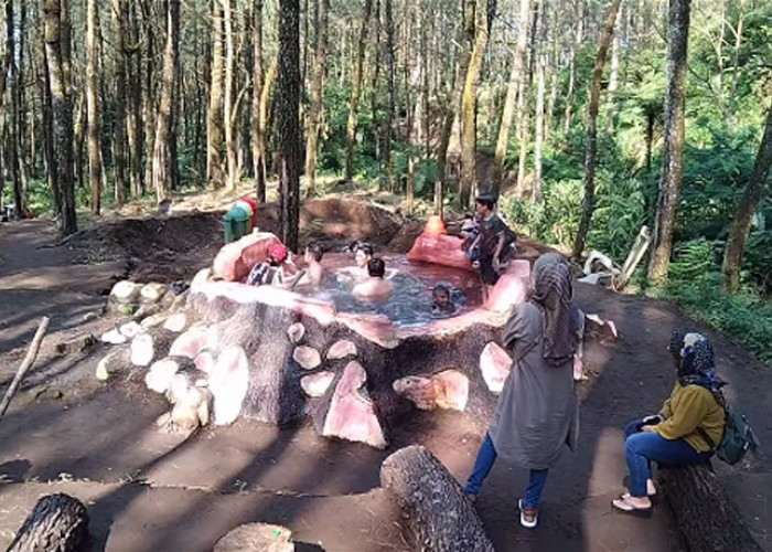 Tempat Berendam Air Panas di Hutan Pinus di Tasikmalaya, Jangan Salah Bukan di Gunung Galunggung