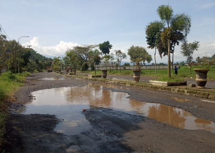 Jalan Berlubang di Jalan Anwar Musaddad Kabupaten Garut, Warga: Teu Aya Piliheun
