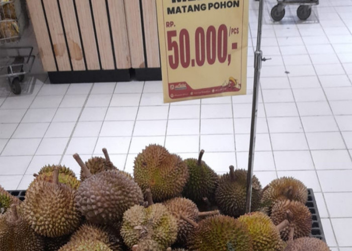 Diskon Gede-Gedean Durian Sibolang Medan, Buruan ke Plaza Asia