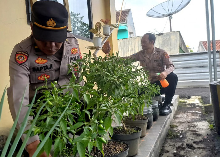 Ketika Halaman Kantor Polsek Mangkubumi Tasikmalaya Disulap Jadi Lahan Hijau