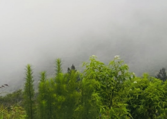 Amazing Time Naik ke Gunung Galunggung Pakai Ojeg Gunung, Berasa Jadi Anak Senja Nikmatin Harumnya Aroma Hutan