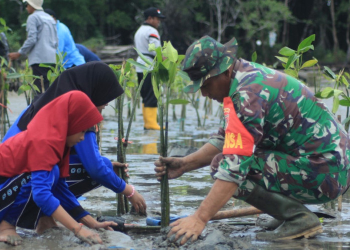 Koramil Talisayan Mendukung Penuh Prakarsa Penanaman Pohon Bakau di Kawasan Mangrove Dumaring