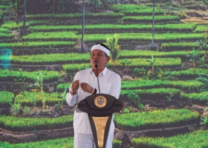 Dedi Mulyadi Siapkan Evaluasi Angkot Tua di Jabar, Sopir Berpeluang Jadi Pemilik Armada