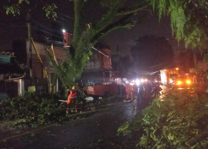 Cegah Pohon Tumbang, BPBD Kota Tasikmalaya Turun Tangan Setelah Rekomendasi PPK Jalan Nasional