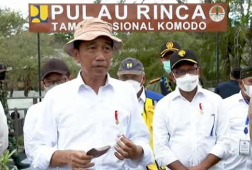 Jokowi Pastikan Pemerintah Tidak Pernah Berencana Menghapus Listrik Daya 450 VA