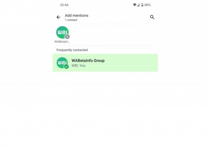 Fitur Baru WhatsApp! Mention Group di Status, Notifikasi Otomatis untuk Semua Anggota