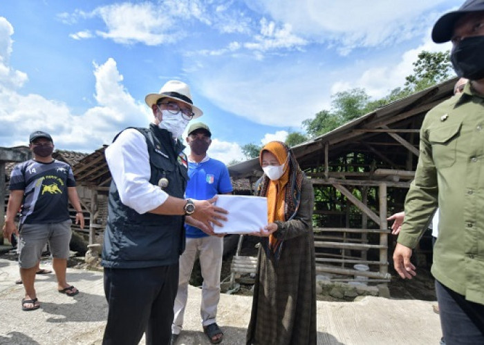 Ridwan Kamil Imbau Semua Daerah di Jawa Barat Tingkatkan Pengawasan Lalu Lintas Ternak