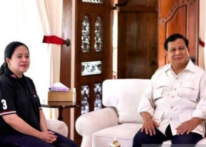 Tanggapan Orang Gerindra Jika Puan Maharani Ajak Prabowo sebagai Cawapres : Keberatan Banget Gitu Loh 
