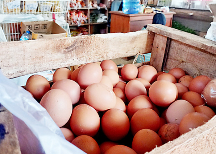 Lagi, Harga Telur di Pangandaran Sentuh Rp 32 Ribu per Kilogram