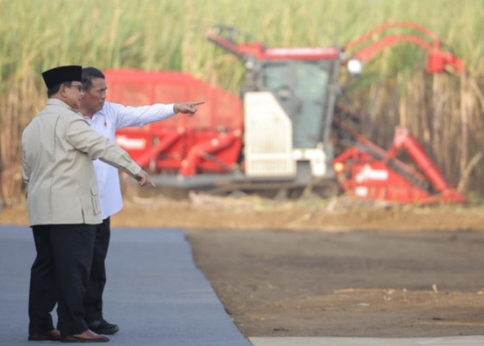 Prabowo Percepat Swasembada Gula, Mentan Amran Optimistis Tuntas dalam 2 Tahun