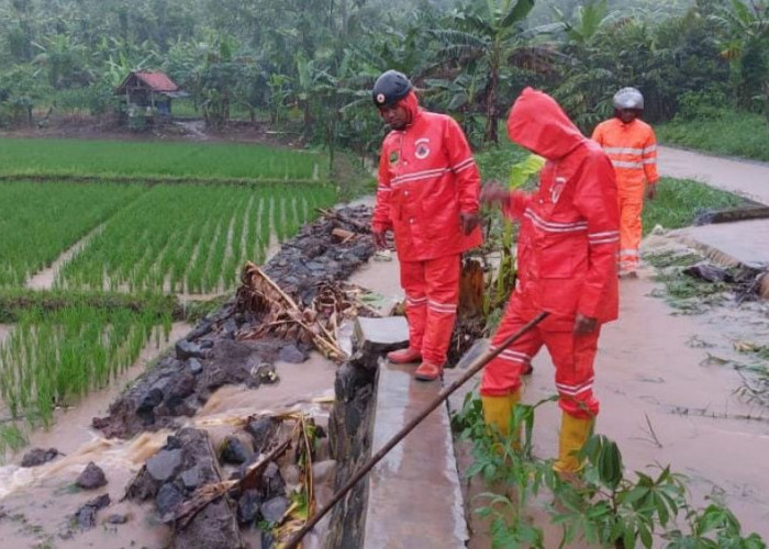 Hujan Deras Picu Longsor dan Kerusakan Rumah di Kota Banjar  