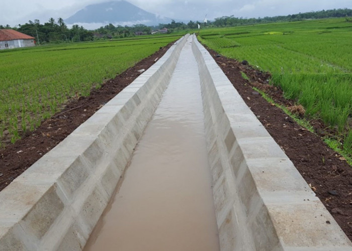 Rekrutmen TPM P3-TGAI 2026 Dibuka, Ini Syarat, Dokumen yang Dibutuhkan dan Cara Daftarnya