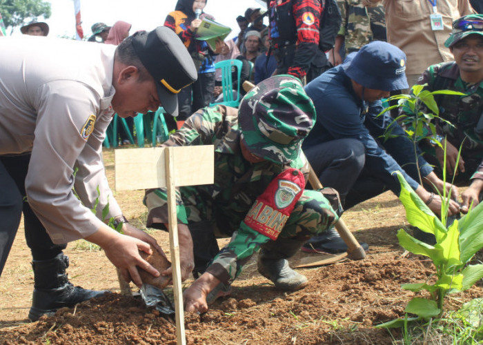 TNI-AD Koramil 1211 Singaparna Tasikmalaya Gencarkan Penghijauan untuk Masa Depan Alam 