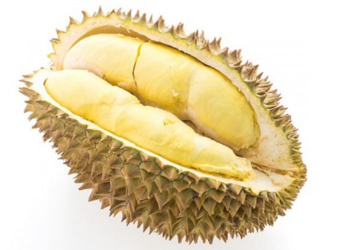 Gampang! Begini Cara Memilih Durian Manis dan Tebal, Jangan Kecolongan Simak Tipsnya di Bawah Ini!