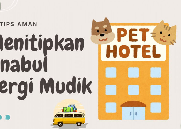Pergi Mudik Lebaran? Berikut 4 Tips Menitipkan Kucing di Pet Hotel dan Kisaran Biayanya